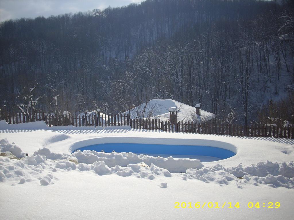 House Maya Tryavna Luaran gambar